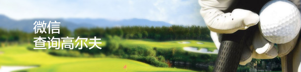 微信查询高尔夫